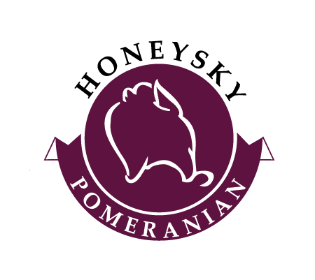 thiết kế logo thú cưng ở tphcm
